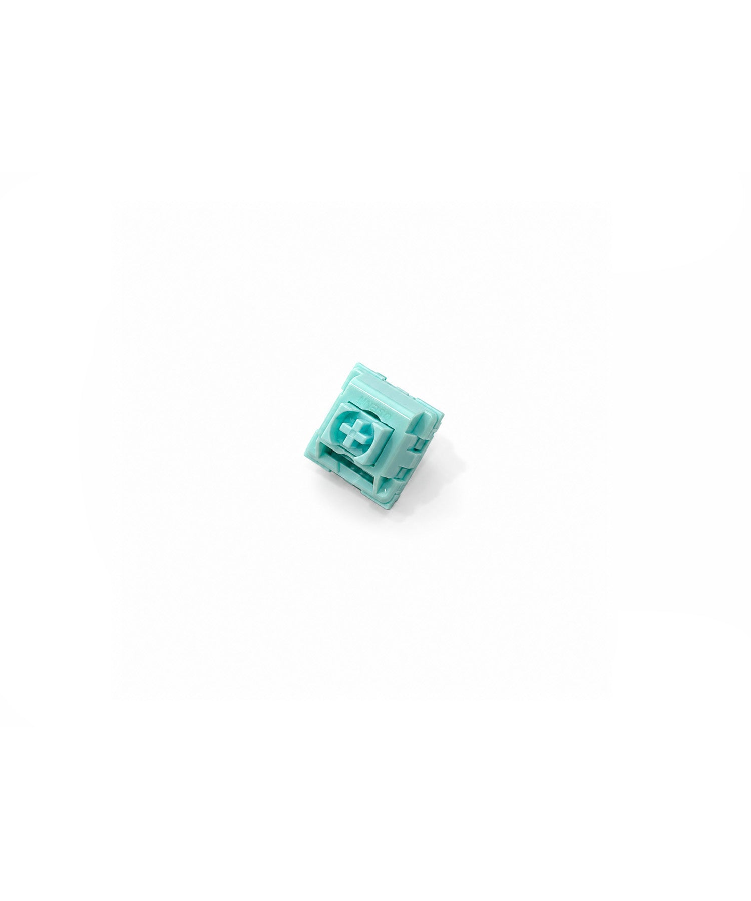 Sea Salt Clicker Keyring Switch