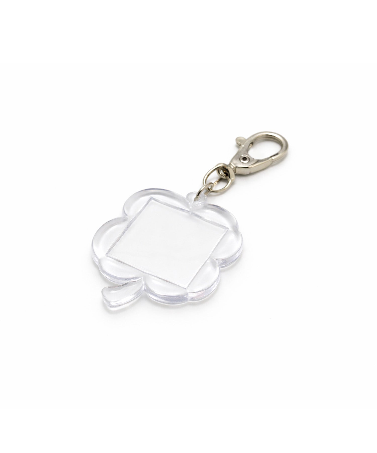 clear photo_clover-1
