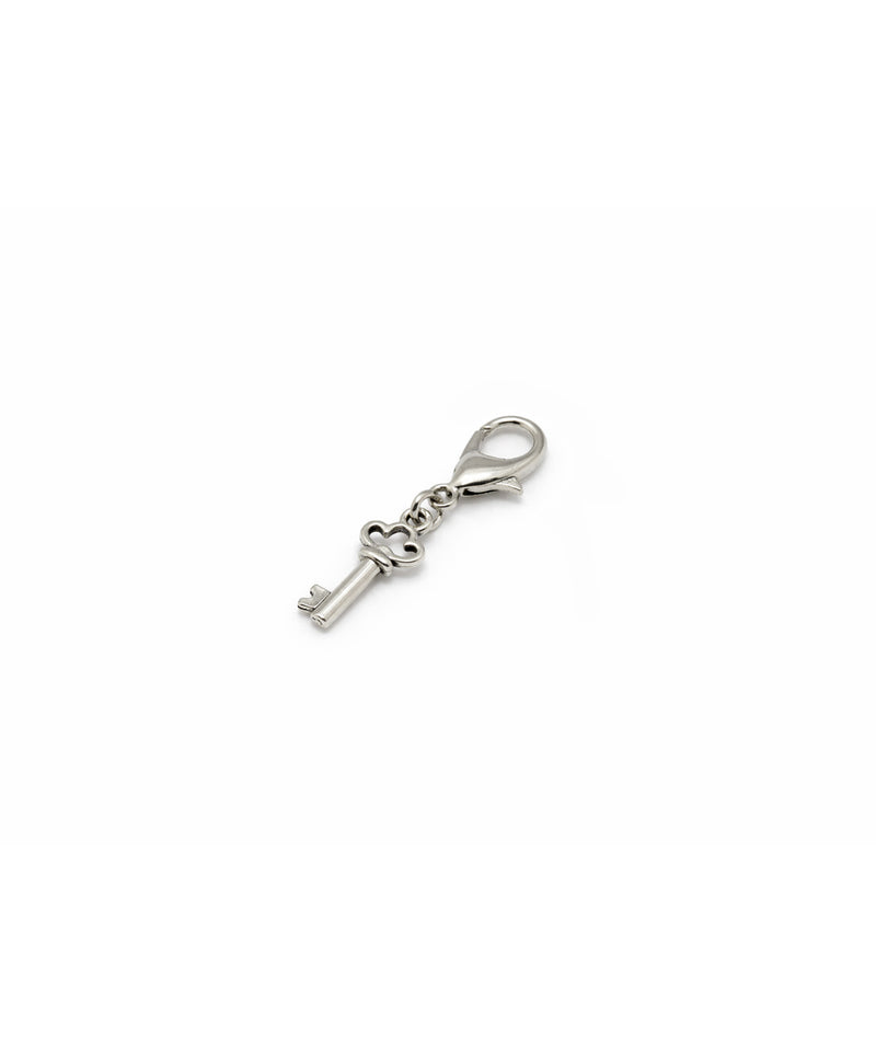 metal_key-zoom-