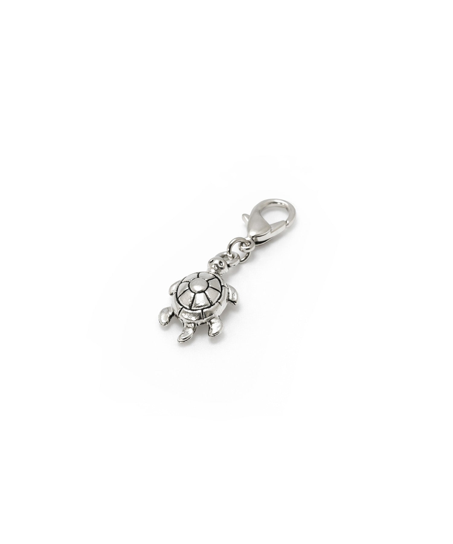 metal_turtle-zoom-1