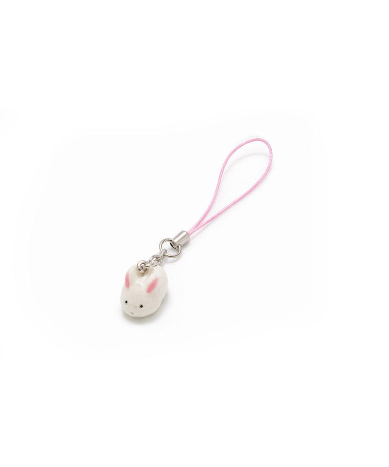 miniature_rabbit-zoom-