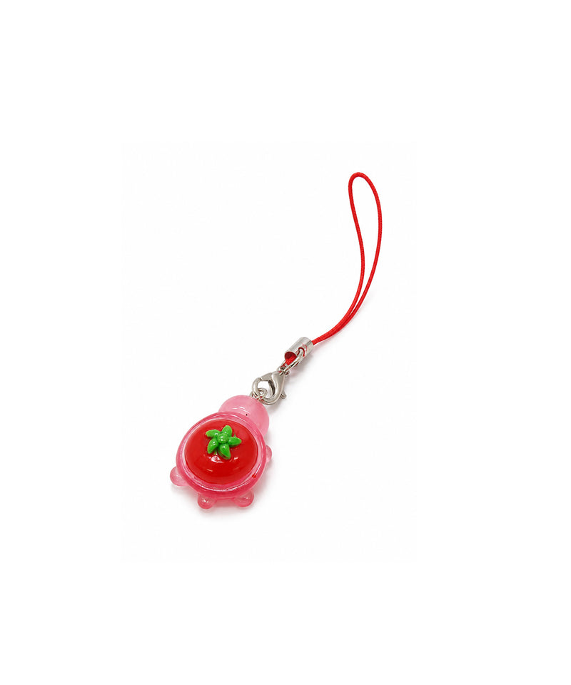 miniature_turtle-zoom-