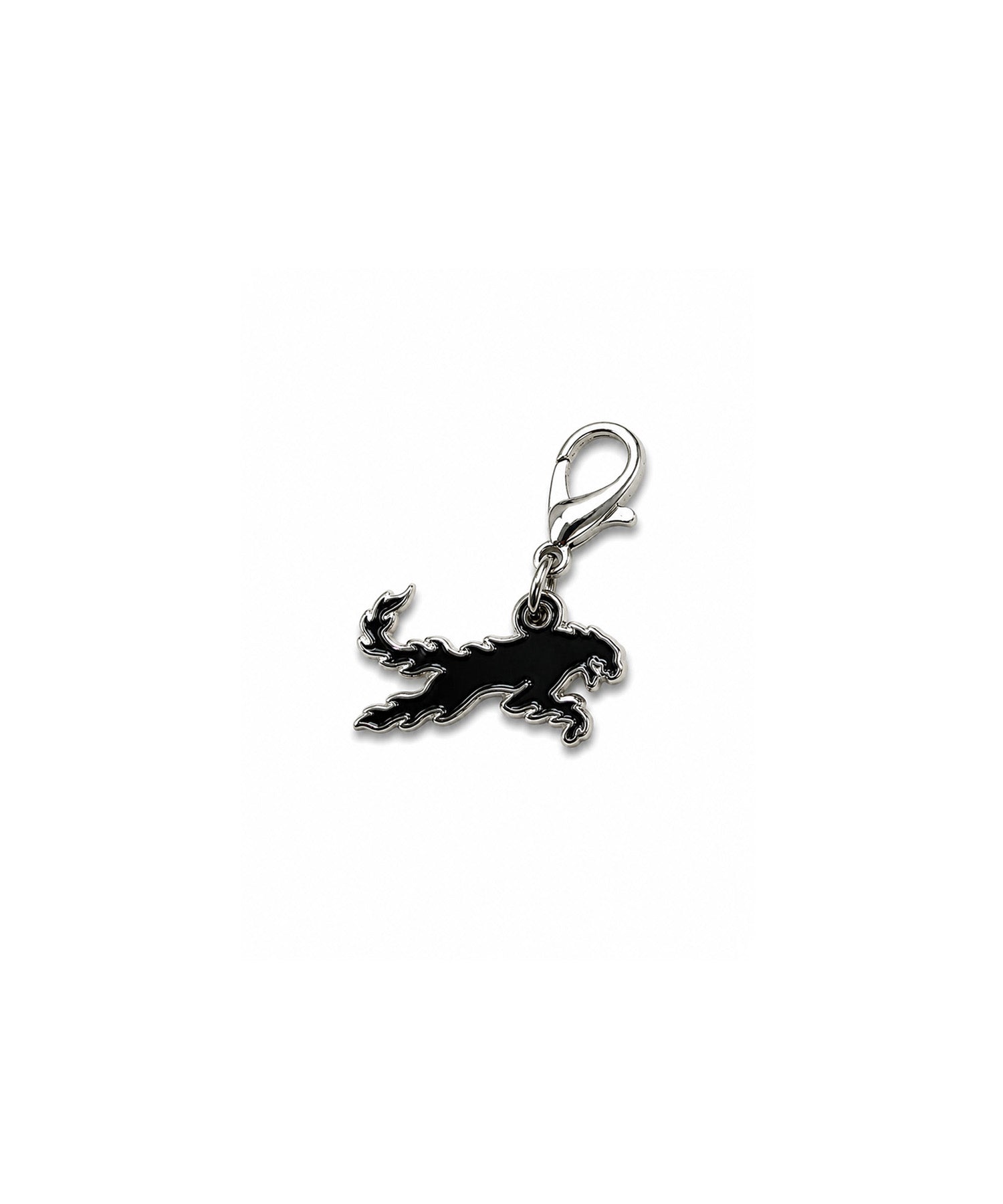 taag_matal charm-023